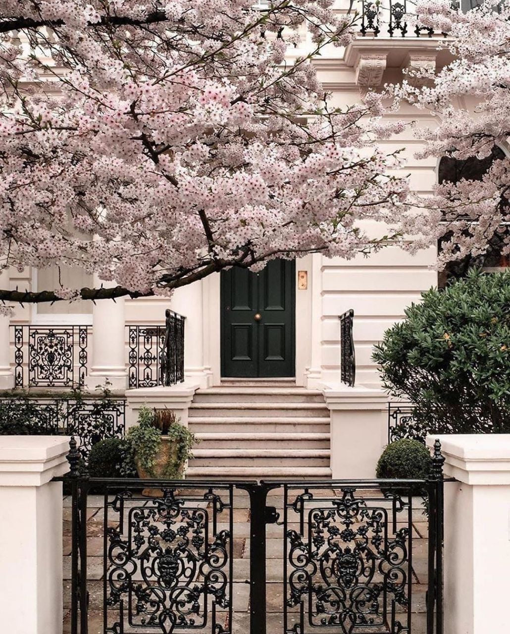 The Spring Refresh Edit